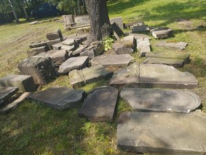 Przewrócone macewy na cmentarzu żydowskim w Żorach 