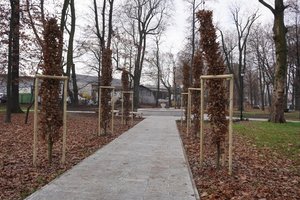 Na zdjęciu Park Staromiejski w Żorach