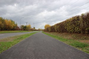 Na zdjęciu chodnik przy ul. Okrężnej w Żorach