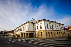 Widok na Dom Kultury w Żorach od strony ul. Dolne Przedmieście. 