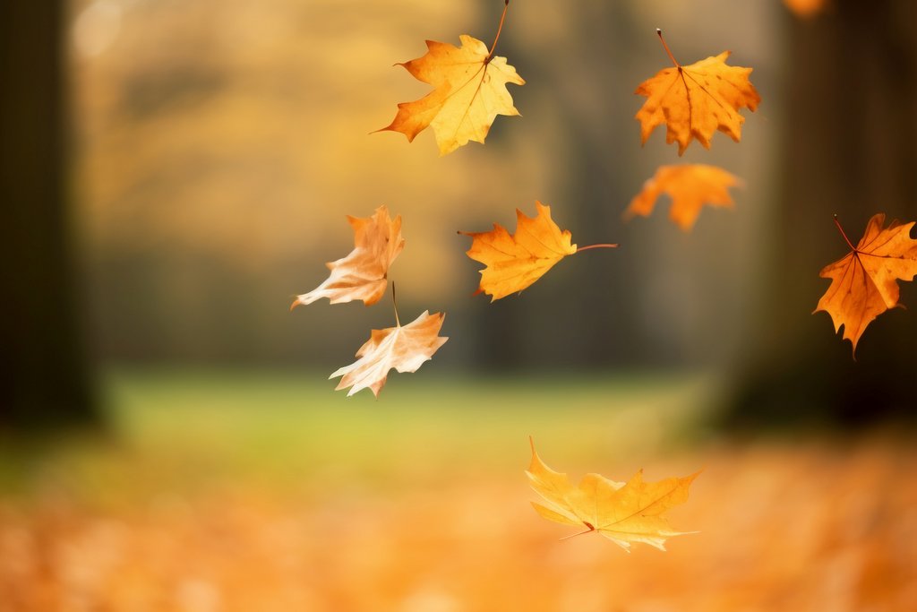 Spadające z drzewa jesienne, kolorowe liście 